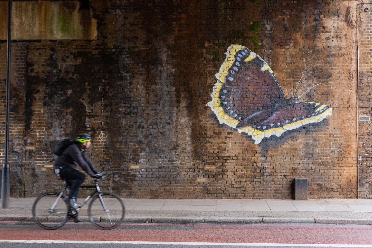 Our great civic institutions have a role to play too. Universities can orientate their focus to the cities that house them. Museums, galleries and theatres can tell more stories of how cities moved from being unequal to being unfair, and motivate us to do something about it.