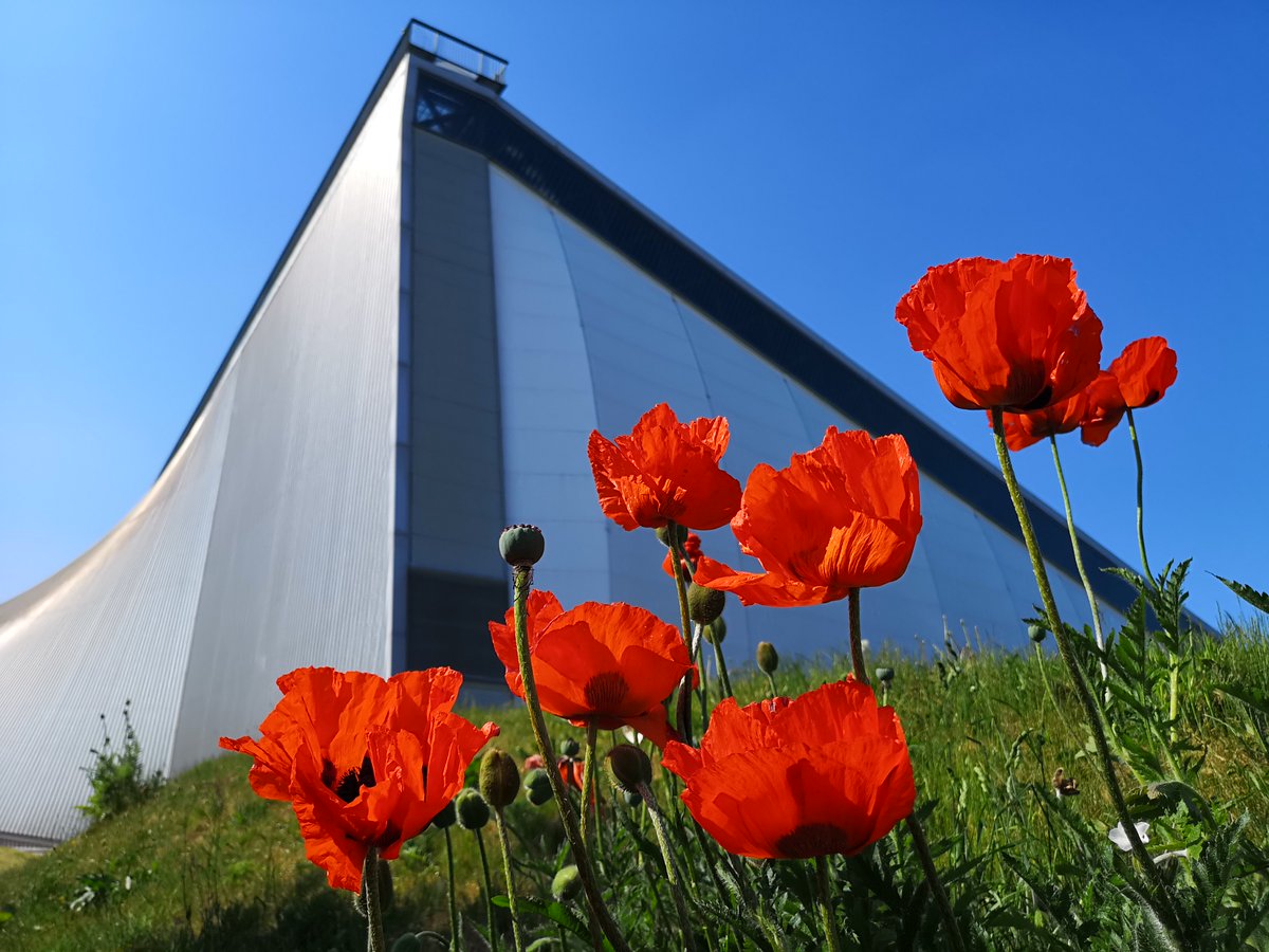 RAFMUSEUM's tweet photo. It's going to be another scorcher  today! Why not visit our cool galleries and then enjoy a picnic in on our green areas either at London or Cosford, that way you get to enjoy the best of both worlds  in an amazing safe day out. https://t.co/7T2AEVKOz9 https://t.co/1RhagY7Krd