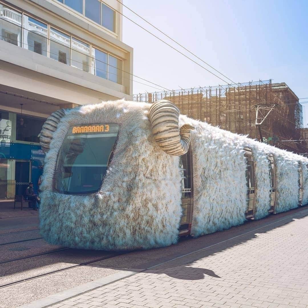 p_lionheart's tweet image. Train prepared on the occasion of Eid-ul-Adha in Morocco 🇲🇦..

#EID_ul_Adha #Mubarak #ToAll #Muslims