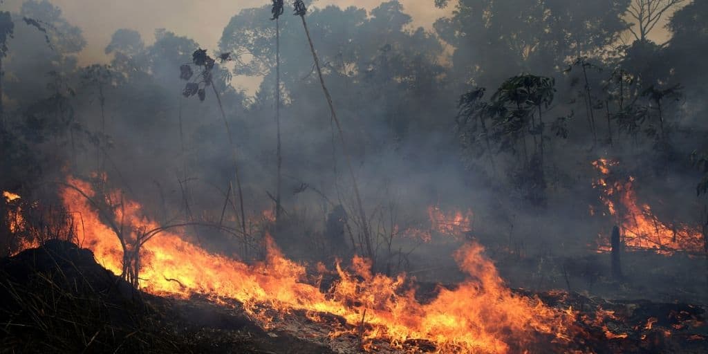 XRNamur's tweet image. #QuestionRebelle 
Voici un indice en image 🤓