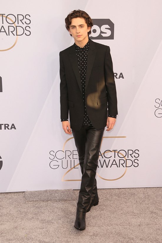 chalamet daily on Twitter 