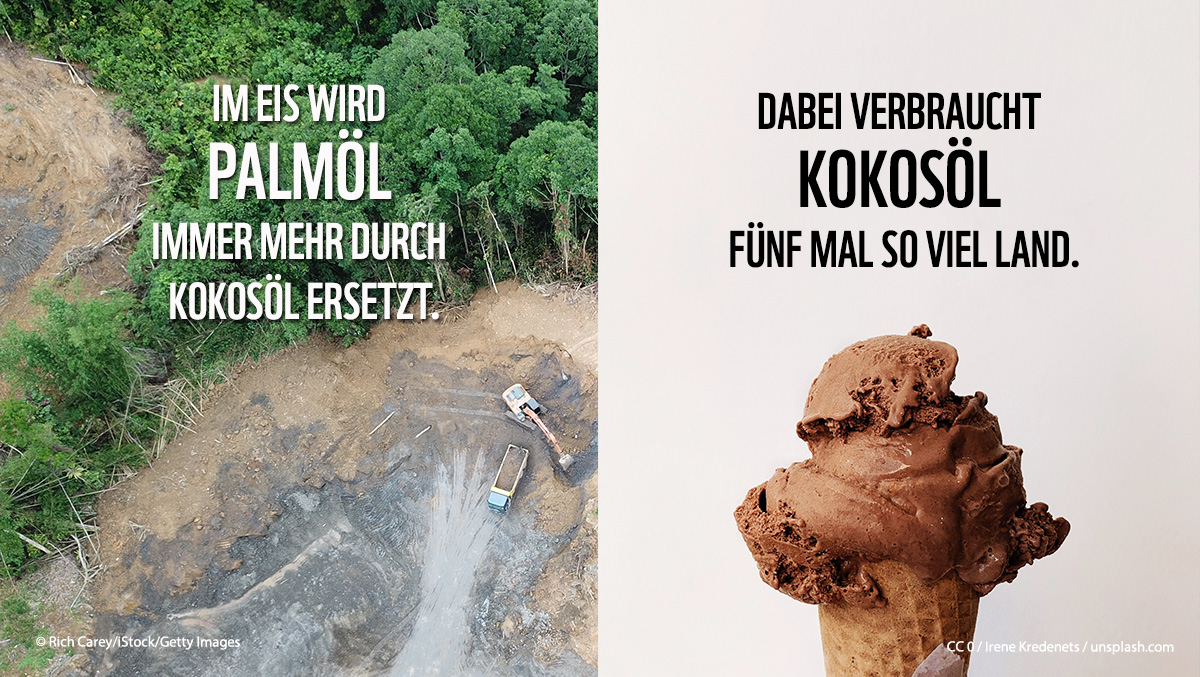 WWF_Deutschland's tweet photo. Deutsche Eishersteller tauschen vermehrt #Palmöl gegen #Kokosöl aus. Das Problem: Kokosöl braucht im Anbau mehr Fläche und ist oft nicht zertifiziert! 🌴🍦 Mehr Infos zu unserer neuen Analyse: https://t.co/eyQrZBURa2 #icecream https://t.co/hQ5swWOxJE