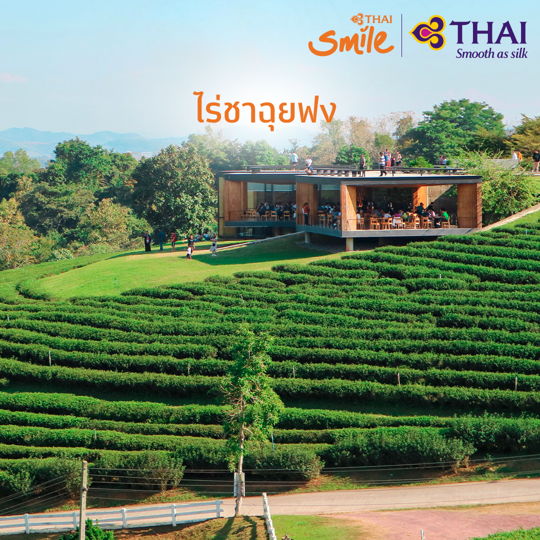 ThaiSmileAirway's tweet photo. ไทยสมายล์ชวนคุณมาสูดอากาศให้เต็มปอด ในบรรยากาศแบบ Green Season กับ 3 ไร่สวย ในจังหวัดเชียงราย
#THAISmile #THAISmileAirways #ThaiAirways #SmileTouch #ChiangRai https://t.co/ENTJs9sDyQ