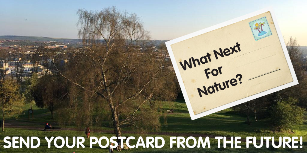 FestofNature's tweet photo. The year is 2045…it’s a great place for people, places &amp; wildlife…and a lovely place for a holiday! Send us a postcard to show us how things have changed, and what your ideal future looks like. https://t.co/MU718vTF1B @nccpe @thembauk @incredoceans https://t.co/ba2Peh7ZNR