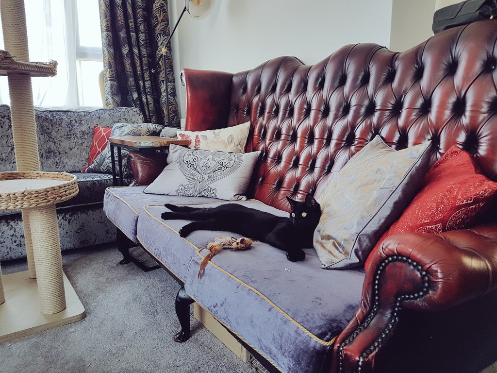 🍃🍂🍁 tweet media