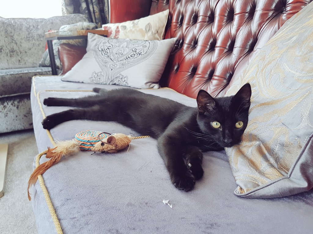 🍃🍂🍁 tweet media