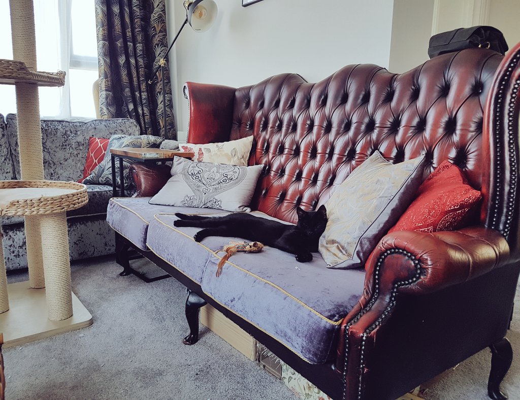 🍃🍂🍁 tweet media