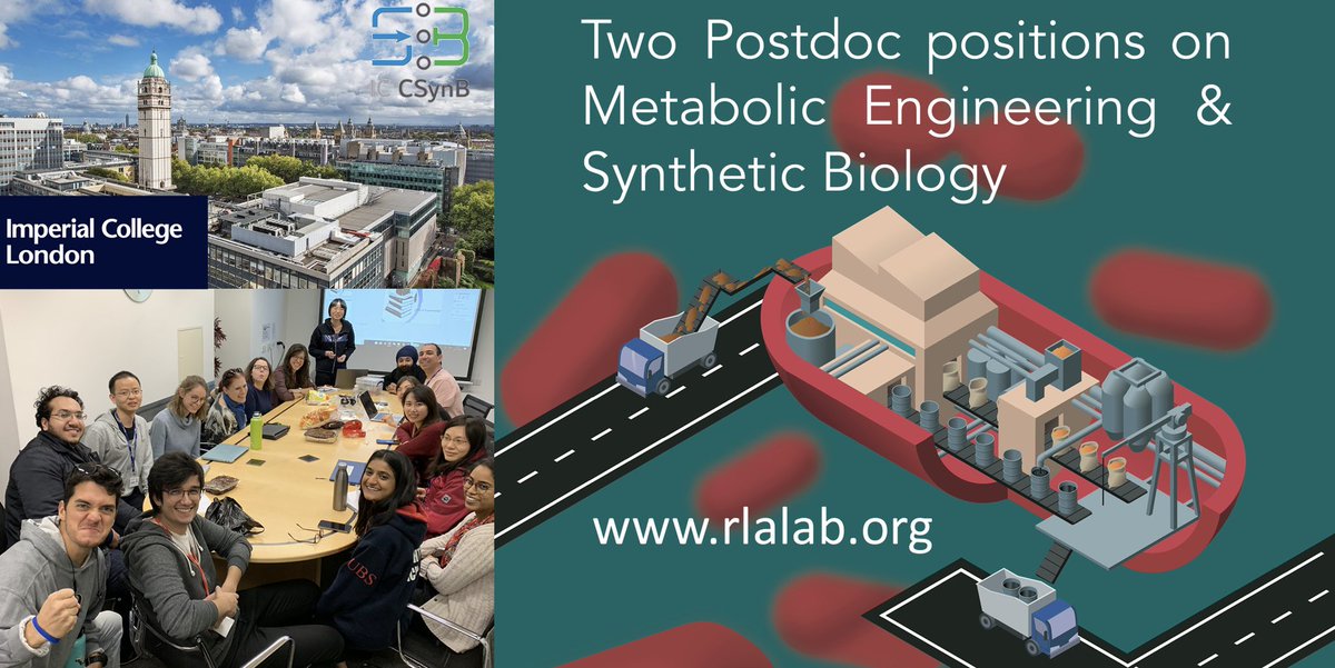 Rodrigo Ledesma-Amaro tweet media