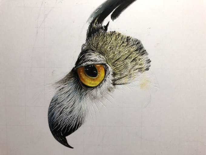 ミミズクちゃん色鉛筆画!昨日描いたもの(ボツ)と今描いてるものを比較。
めちゃくちゃ試行錯誤してだいぶ変わりました( ¨̮ )✏️✨ 
