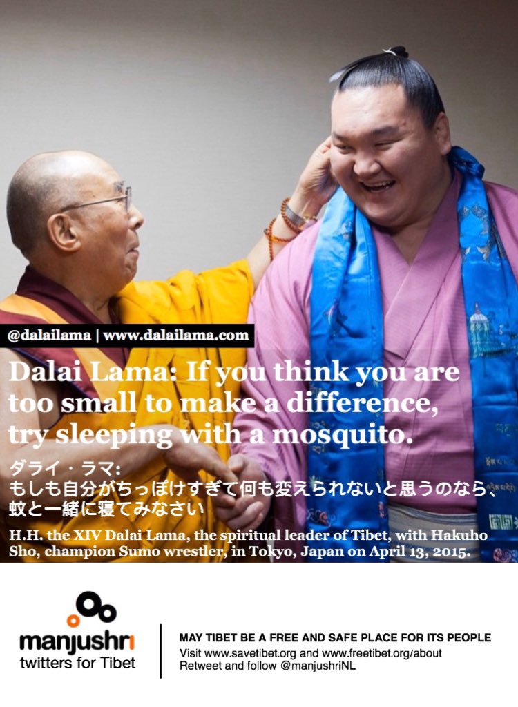 ダライ・ラマ: もしも自分がちっぽけすぎて何も変えられないと思うのなら、蚊と一緒に寝てみなさい

H.H. the XIV <a href="/DalaiLama/">Dalai Lama</a>, the spiritual leader of #Tibet: If you #think you are too small to make a #difference, try sleeping with a mosquito.

#仏 #禅 #瞑想 #相撲 #Buddha #meditation