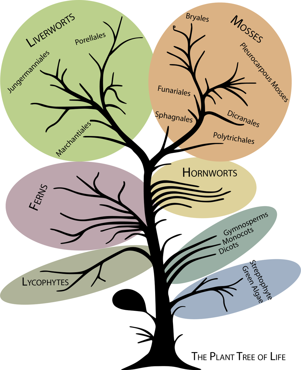 Bill Baker tweet media