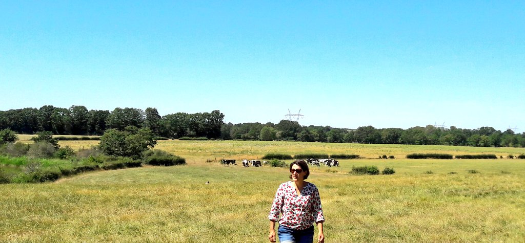 JeanMarcBECHE's tweet photo. Les vaches laitières d'Hélène dans leurs prairies... de biodiversité naturelle de la flore et de la faune🌳 🐄☘🐜🐄🚜😎 https://t.co/VC7i1vrZmF