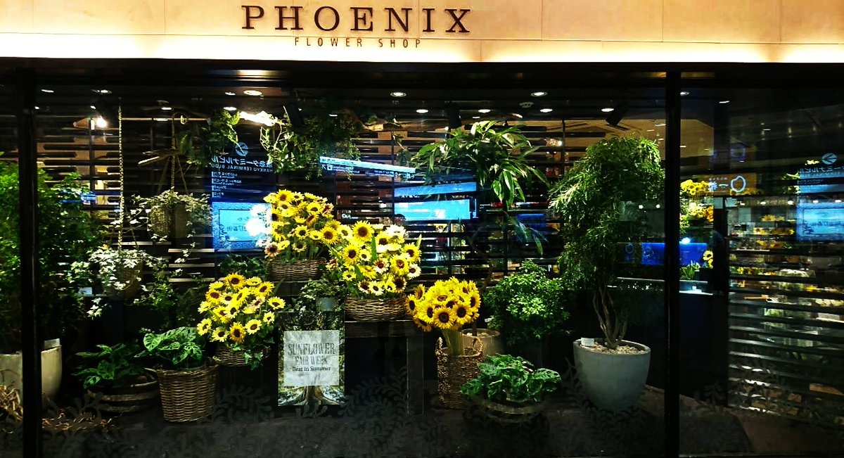 Phoenixのtwitterリアルタイム検索結果 Meyou ミーユー