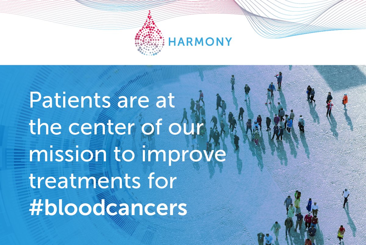 HARMONY is proud to have patient organizations as part of its initiative. See what role our valued Patient Cluster has played in progressing HARMONY’s mission in #bloodcancer bit.ly/312RrtO <a href="/AcuteLeuk/">Acute Leukemia Advocates Network (ALAN)</a> <a href="/CCIntOrg/">Carmen Auste</a> <a href="/CLLAdvocates/">CLL Advocates Network</a> @heretohelpMDS <a href="/knowyournodes/">Lymphoma Coalition</a> <a href="/MyelomaEurope/">Myeloma Patients Europe</a>