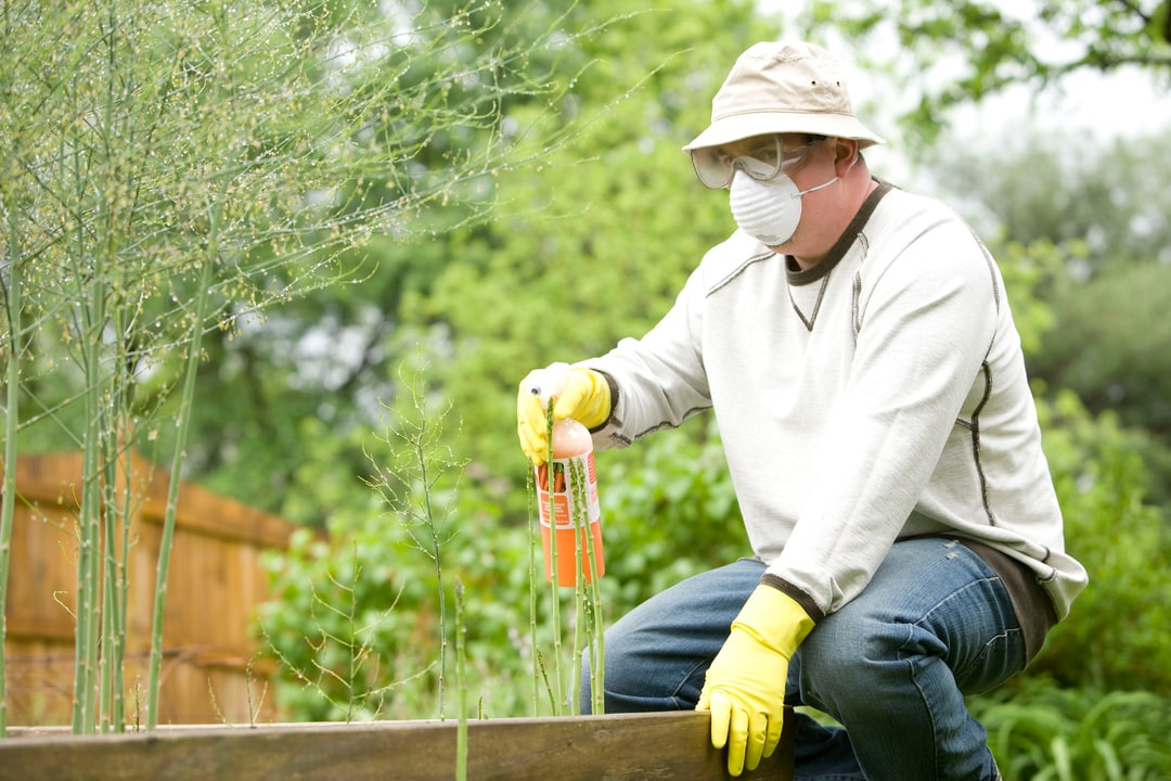 #FridayFact: Fertilizers applied in excess can soak down into the groundwater or run off into surface water bodies. This pollution of surface and groundwater can impact our drinking
water supplies. [📸 by CDC on Unsplash] Learn more about this here: groundwaterfoundation.blogspot.com/2020/07/its-wa…