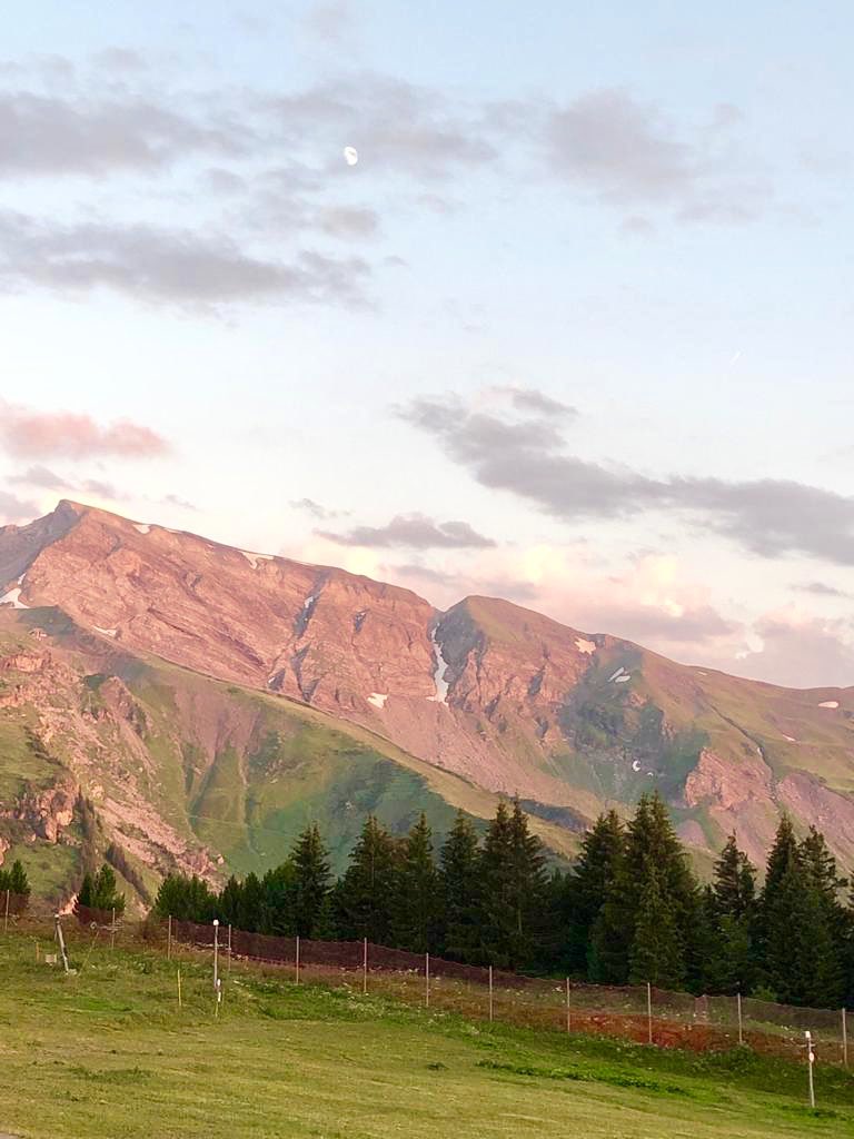 alex301076's tweet photo. Vacances apprenantes : concilier #cafipemf et randonnées. Y’a pire comme lieu pour travailler sur mon mémoire! Quelle chance ont les #erun de cette région de travailler dans pareil environnement! #avoriaz #montagne #CPDnum94 https://t.co/32ZzNOTa7g