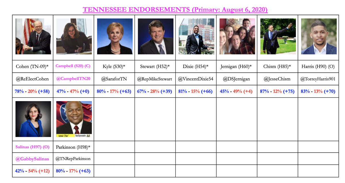 JOLPOLitico's tweet photo. Thurs. (8/6) is #TNPrimary! #GOTV #VOTE #JOULPACEndorsed Champions-#Justice, #Opportunity &amp; #Liberty: #JOULPAC #Tennessee #Election2020 
🗳️ #Congress #House: #TN09: @ReElectCohen!
🗳️#TNlegis #TNlege: #SD20: @campbelltn20; #SD30: @SaraforTN; #HD52: @RepMikeStewart! 🌊 https://t.co/MVBMlCsDwf