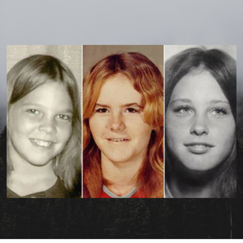 On December 23, 1974 three girls -  Rachel Trlica (17 years old), Renee Wilson (14 years old), and Julie Moseley (9 years old) - disappeared from the Seminary South Shopping Center in Fort Worth, Texas.

Learn more - southerngone.com/episodes/34.

#missingintexas #fortworth