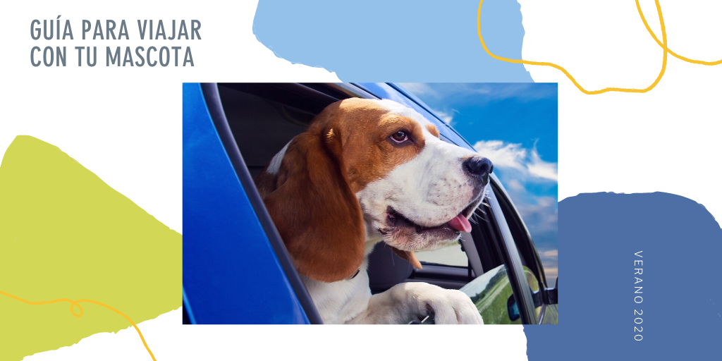 RedVetersalud's tweet photo. Descarga la Guia para Viajar con tu Mascota en este link: https://t.co/OL9f31n6TP
#verano #verano2020 #guiadeviajes  #petlovers #vetersalud https://t.co/lhxnPzAAR0