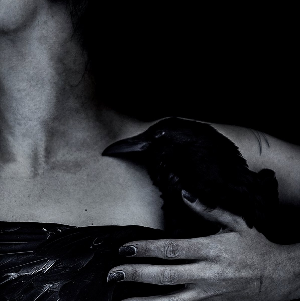 ๐ฉ๐ซ๐ข ๐ข๐ง ๐๐ซ๐๐๐๐ข๐ ๐ฆฉ tweet media