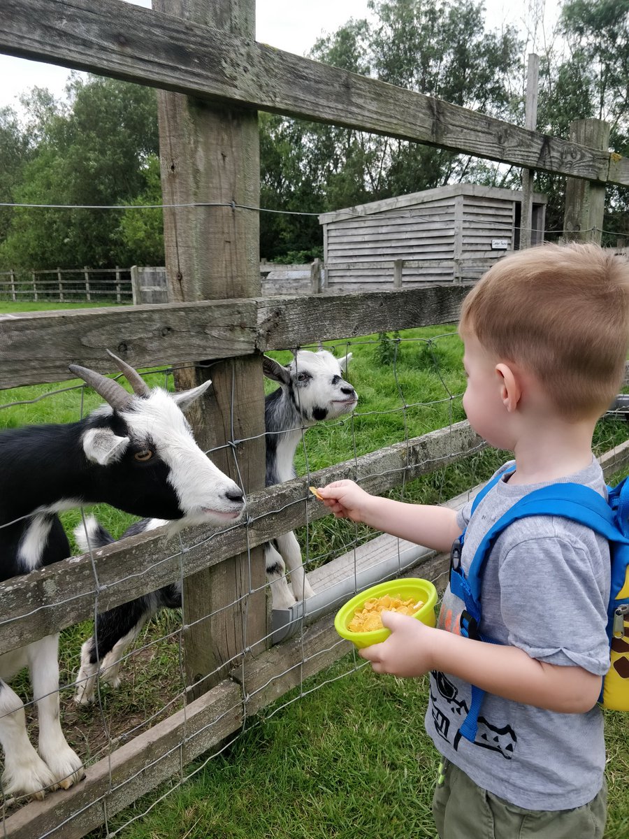 MattKeating1981's tweet photo. Grayson in his happy place! #CedarFarm https://t.co/pQofWP1z5I