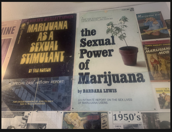 This is why I'm so damn horny all the time lol #sexandweed #stonergirls #ladygrower 💚💦 https://t.co/<a href="/tag/stonergirls"class="tags"><span>#stonergirls</span></a><a href="/tag/sexandweed"class="tags"><span>#sexandweed</span></a><a href="/tag/ladygrower"class="tags"><span>#ladygrower</span></a>