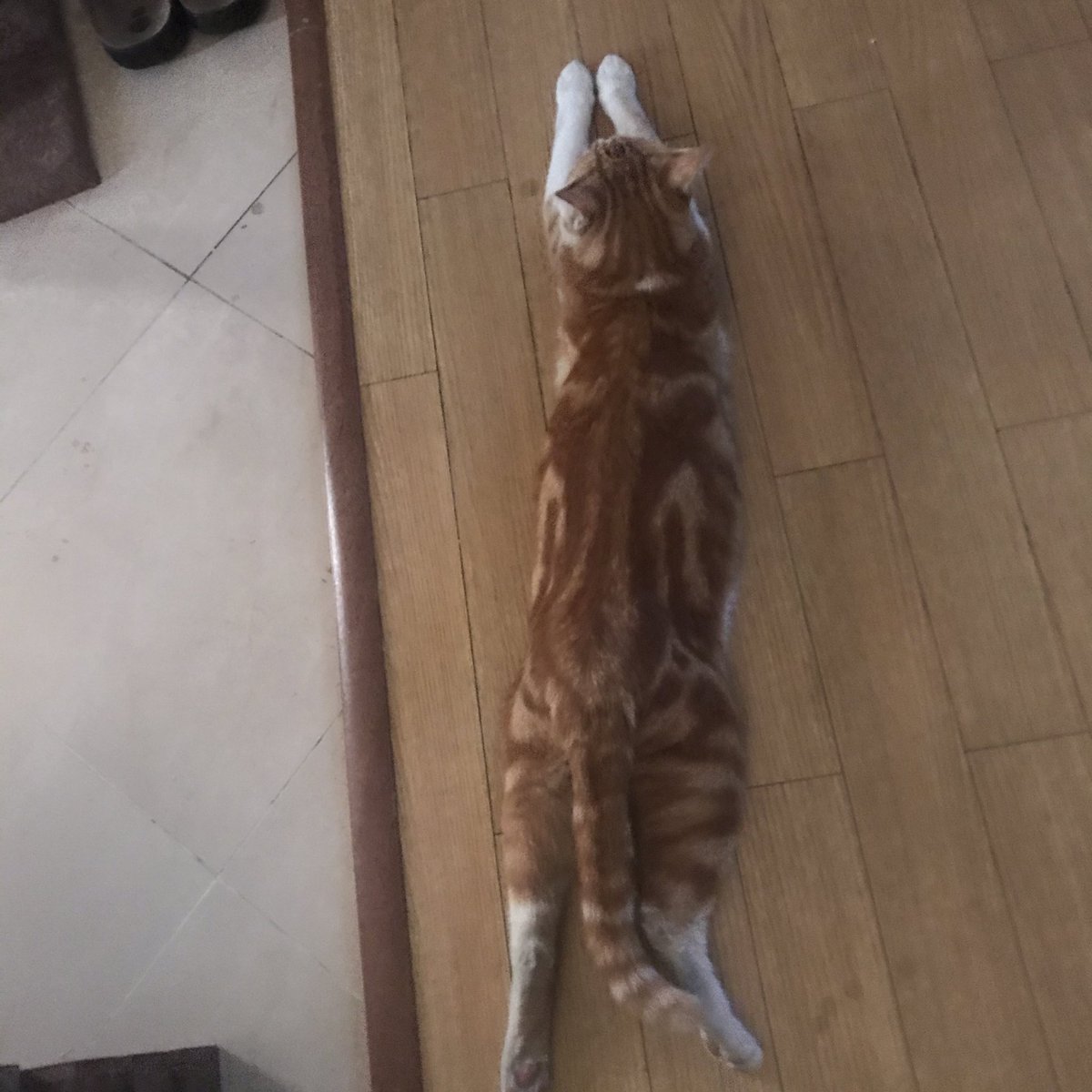 PrimeMattt's tweet image. کارنت موود.