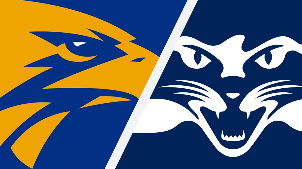 #AFLEaglesCats Photo