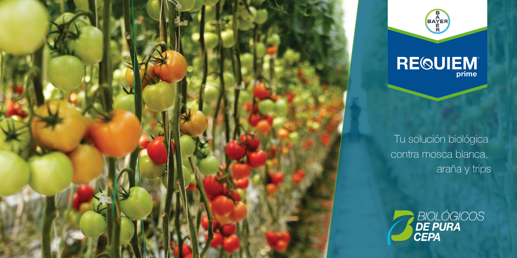 Bayer Crop Science España tweet media