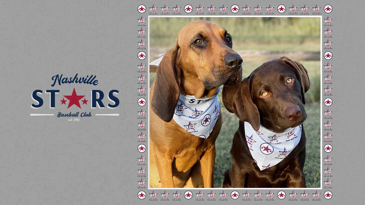 Nashville Stars ⚾️ (@nashvillestars) on Twitter photo 1/2 Calling all pet lovers! The <a href="/NashvilleStars/">Nashville Stars ⚾️</a> have partnered with <a href="/TonyLaRussa/">Tony La Russa</a> 's @ARFtweets to launch pet bandanas so all of our furry friends can show their #NashvilleStars support! #NashvilleStasXPetsandVets
Link to purchase here: biglink.to/NashvilleStars 1/2 Calling all pet lovers! The <a href="/NashvilleStars/">Nashville Stars ⚾️</a> have partnered with <a href="/TonyLaRussa/">Tony La Russa</a> 's @ARFtweets to launch pet bandanas so all of our furry friends can show their #NashvilleStars support! #NashvilleStasXPetsandVets
Link to purchase here: biglink.to/NashvilleStars