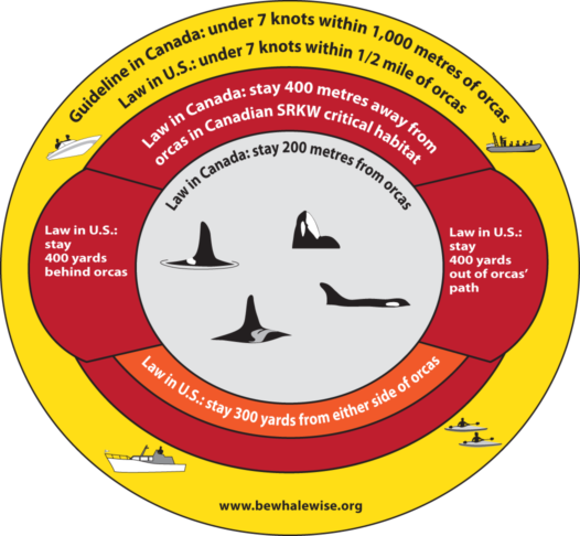 PortVancouver's tweet photo. Southern resident #killerwhales were spotted in #HaroStrait for 17 of the first 18 days of the #ECHOProgram voluntary slowdown!
Remember to slow down and stay at least 400m away from these endangered cetaceans when boating through critical habitat. https://t.co/zYH7dylMow https://t.co/EVlT6kLRRn