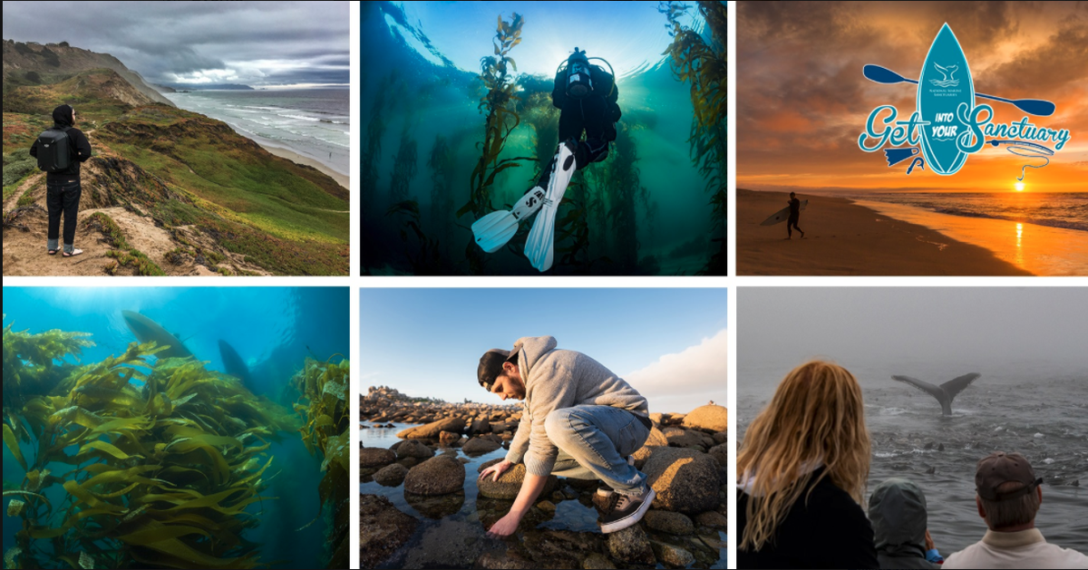 sanctuaries's tweet photo. Your Adventure in Monterey Bay National Marine Sanctuary (@MBNMS) Starts Here… in 15 minutes! Join the Facebook WatchParty at https://t.co/CIz3z8bx5R for our last event of the day and explore from home! #VirtualGIYS #ILoveMySanctuary https://t.co/VG1ZLiOUSk