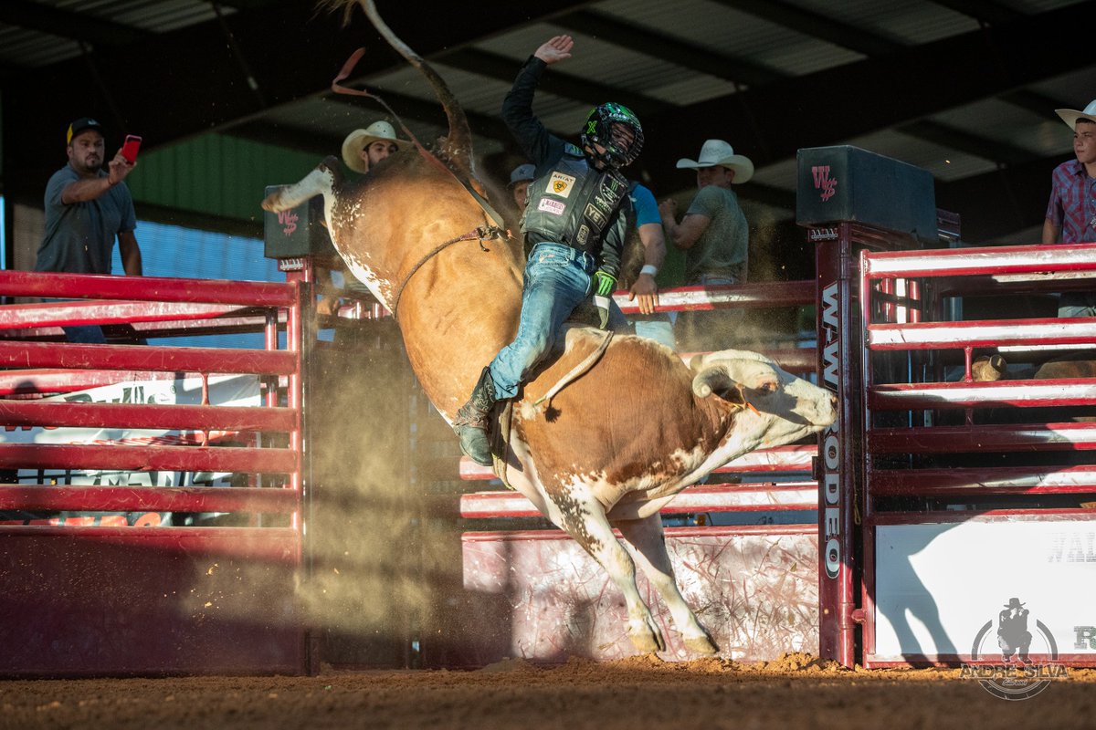 PBR's tweet photo. All in a day's work. https://t.co/vwO7i5FsxF