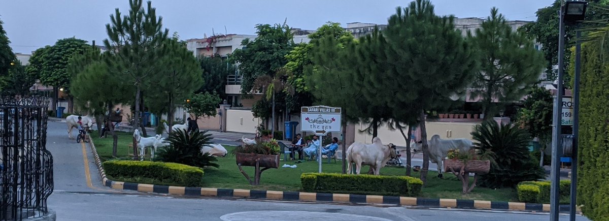 ayounis11's tweet photo. @MalikRiaz_ sir this is happening in Bahria Town Rawalpindi. Public parks used... https://t.co/DJZLOYe07t
