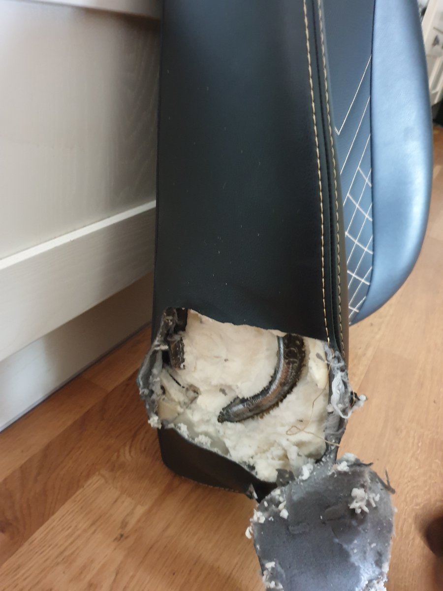 John Plummer tweet media