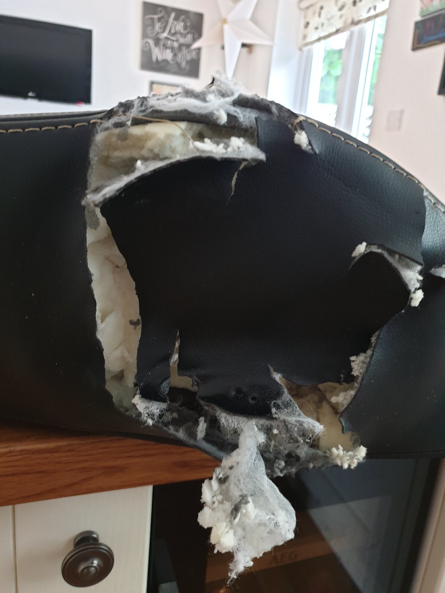 John Plummer tweet media