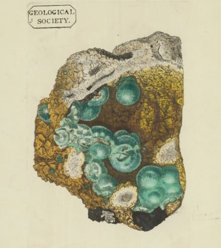 The Geological Society tweet media