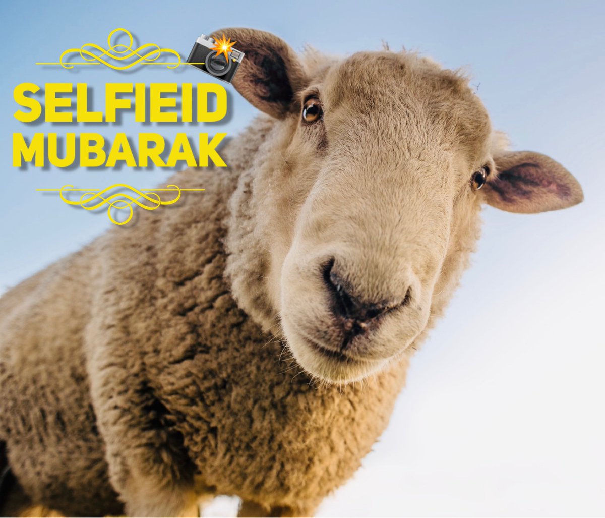 youkofficiel's tweet photo. Bonne fête #AidElKebir à tous... salam, peace, paix... #seflieid #EidMubarak https://t.co/KU4VWicNWR