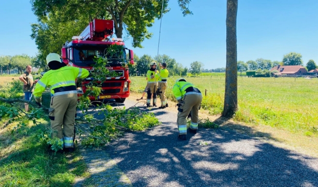Brandweer ruimt afgebroken tak op -..