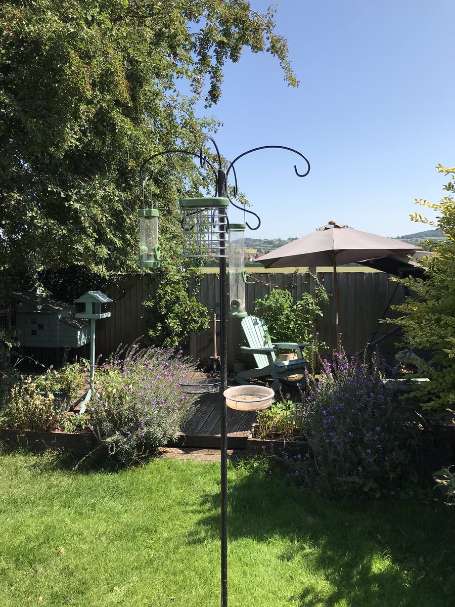 DM_SCFC's tweet photo. @Natures_Voice Gutted. Tree used by birds when using feeder removed today. Before and after. Planning rules say no work till Sept! https://t.co/MSnRjww325
