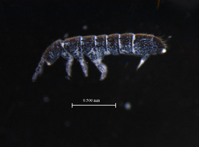 UJ Zoology tweet media