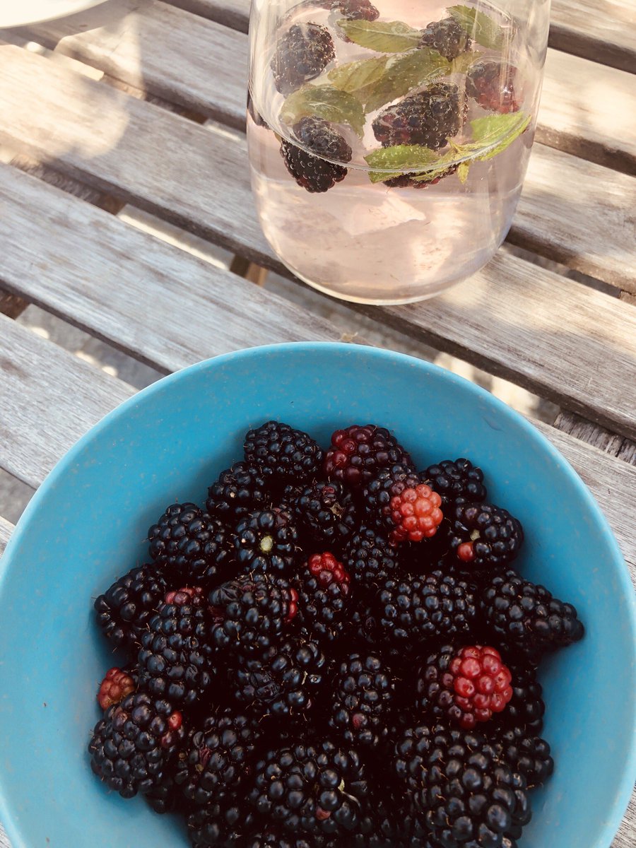 NuSajaz's tweet photo. Sommer. Sonne. Trallala. #Dasche https://t.co/xz7883Q1v5