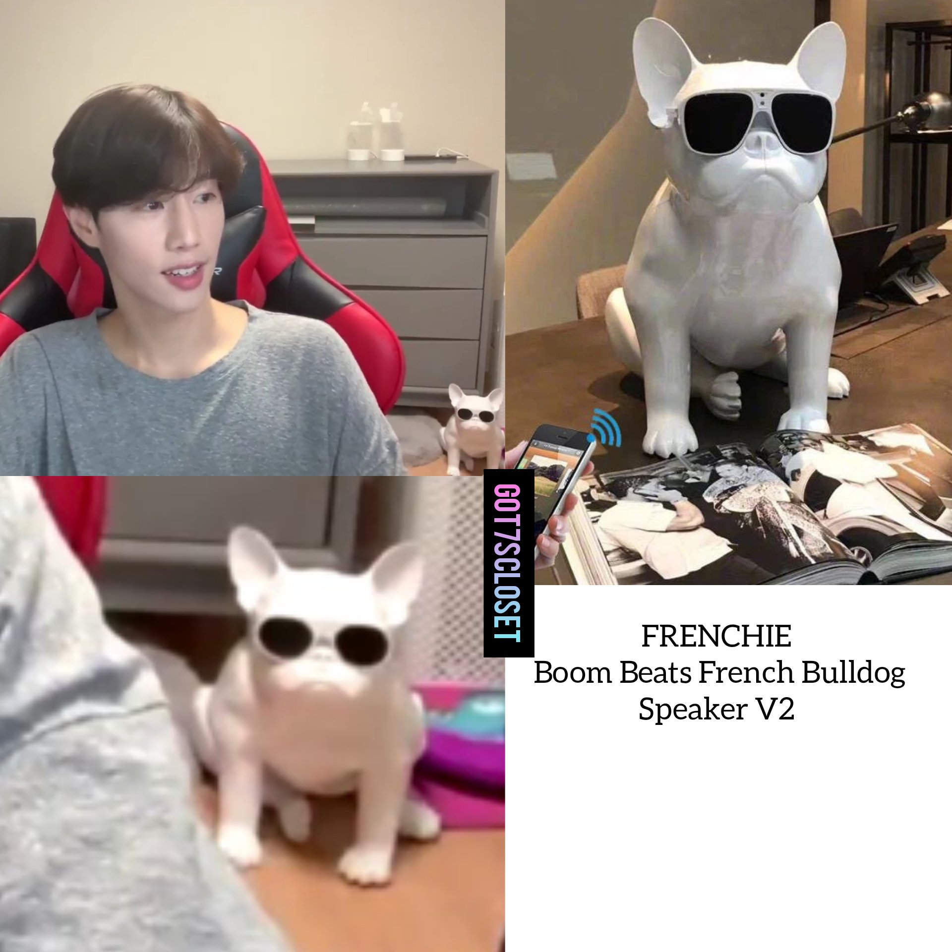 boom beats french bulldog speaker v2