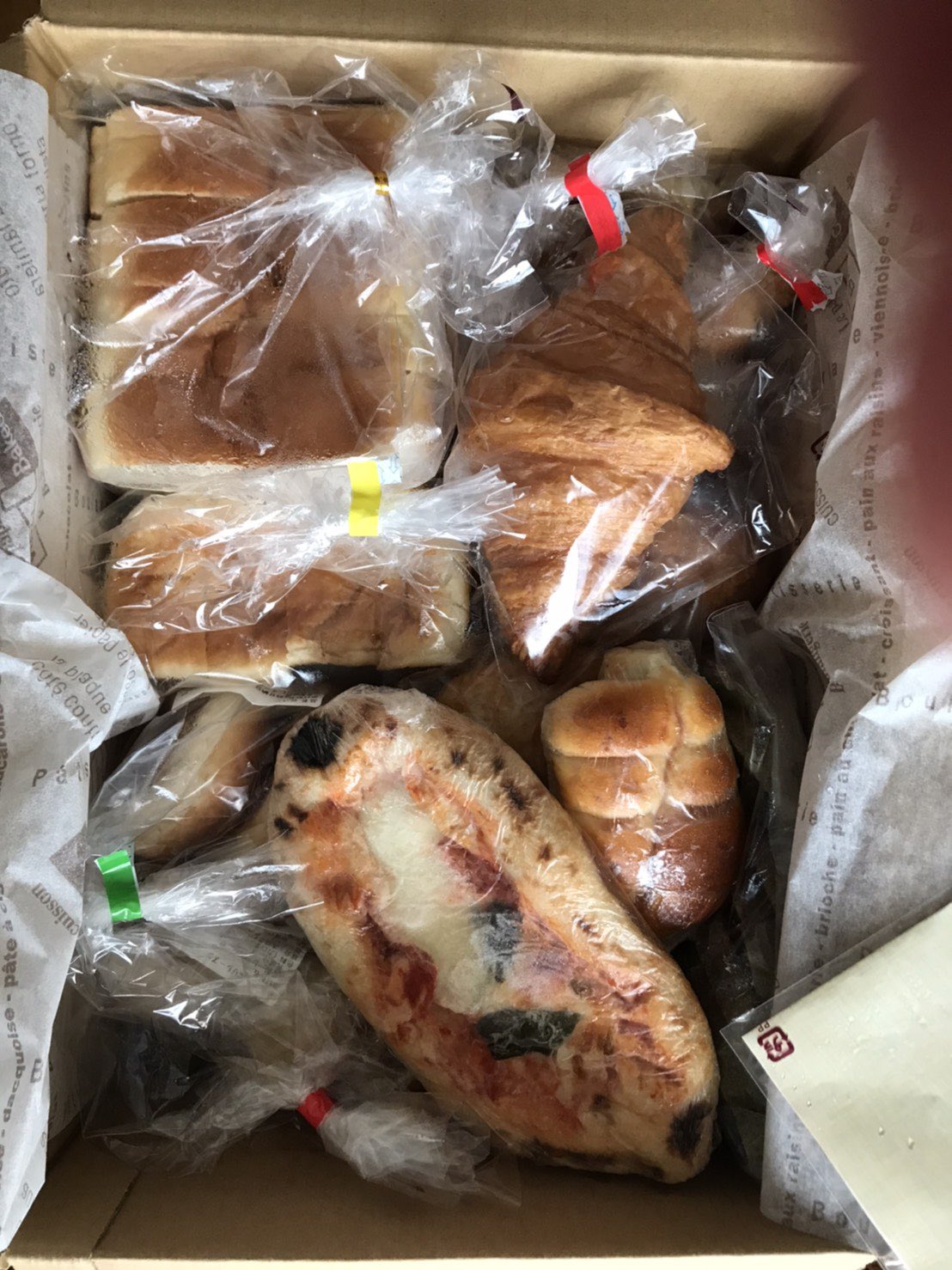 どんぐり Donguri Bake Twitter