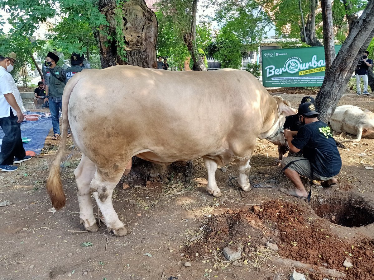 0304Popeye's tweet photo. Ied mubaroq 1441 H
Mohon maaf lahir bathin

Idul qurban ( potong sapi ) https://t.co/BZIBxMwKWX