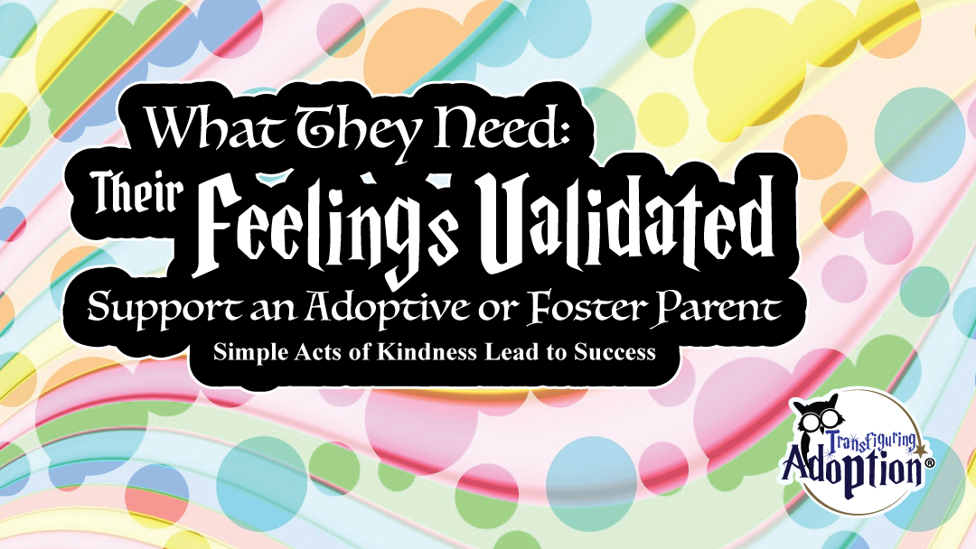 What do you need to be a success? Sometimes you just need to know that you're not crazy. transfiguringadoption.com
