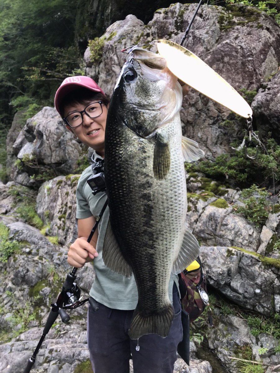 けいた 釣り 虫取り ずっと夏がいい
