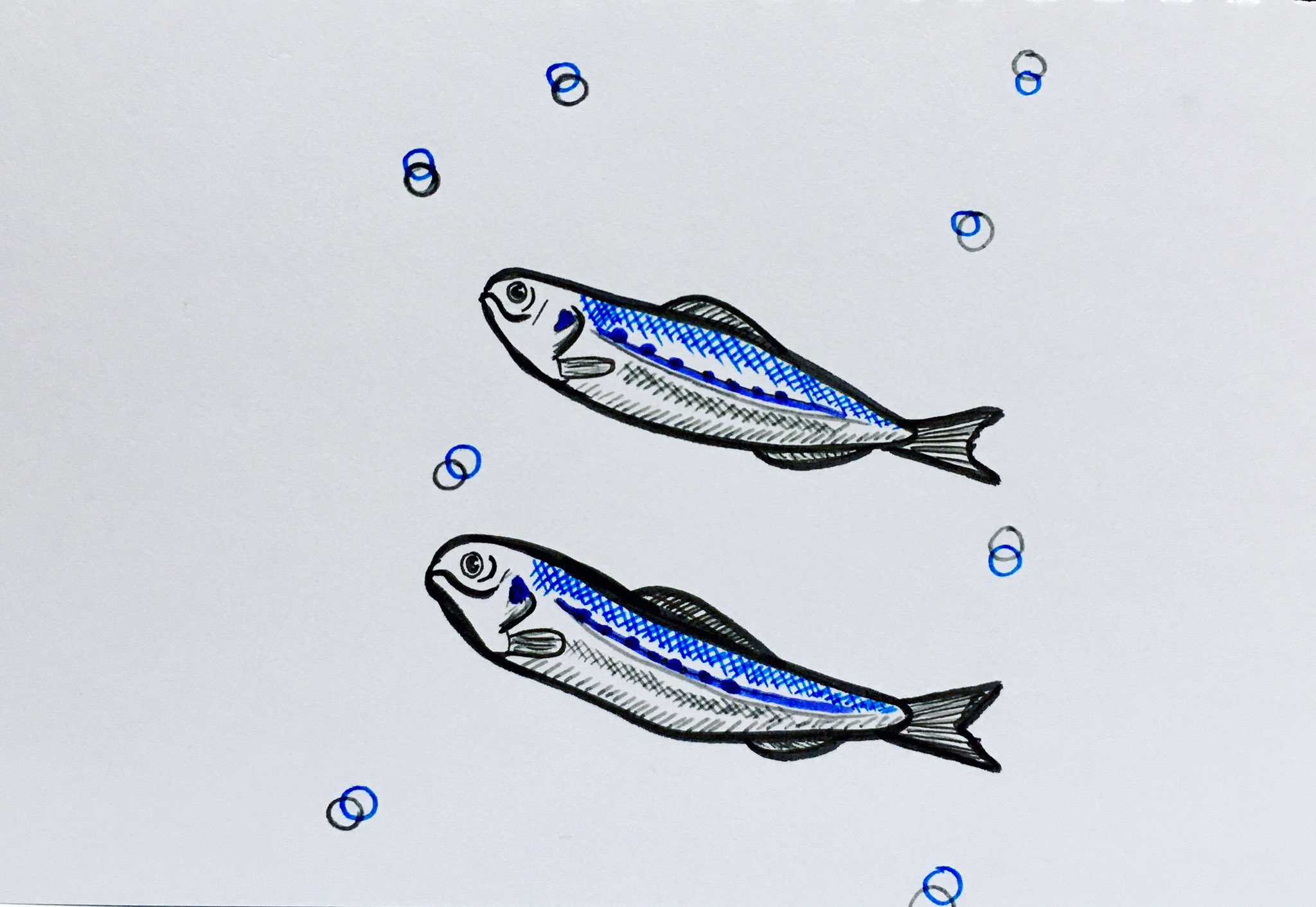 Naaa イワシ いわし 鰯 手描き アナログ絵 アナログイラスト 毎日 カラフル しりとり 小魚 回遊魚 T Co Ftjahinaup Twitter