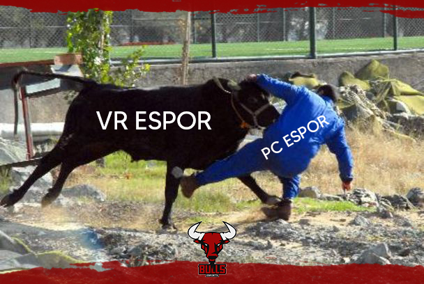 bullsesc's tweet photo. Sevdiklerinizle mutlu bir bayram geçirmeniz dileğiyle, Kurban bayramınız kutlu olsun!

#VRTheBULLS #VRHERE
-
#vr #vrgames #esport #vrchat #onward #echo #echoarena #vrtspace #beatsaber #videogames #future #technology #game https://t.co/5JyaRIJVbk