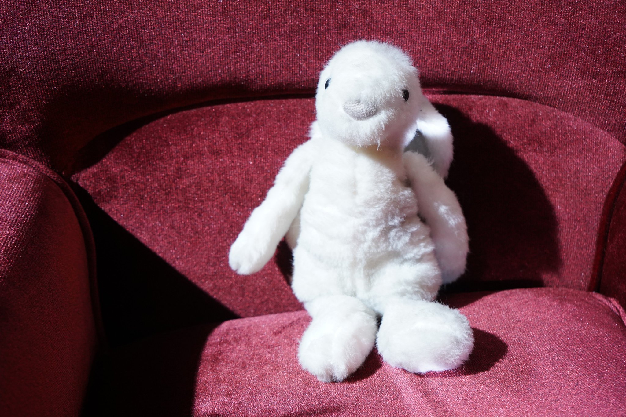 非売品】アカメアマガエル ぬいぐるみ コンフィデンスマンJP